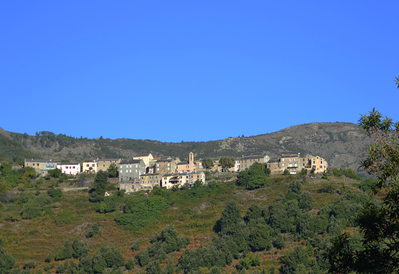  QUERCITELLO_4