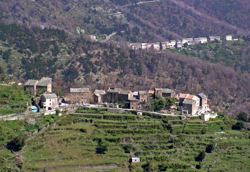  QUERCITELLO_6