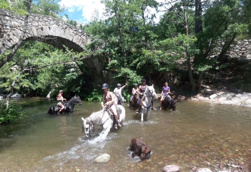  RANCH-U-NIOLU-A-CAVALLU-19
