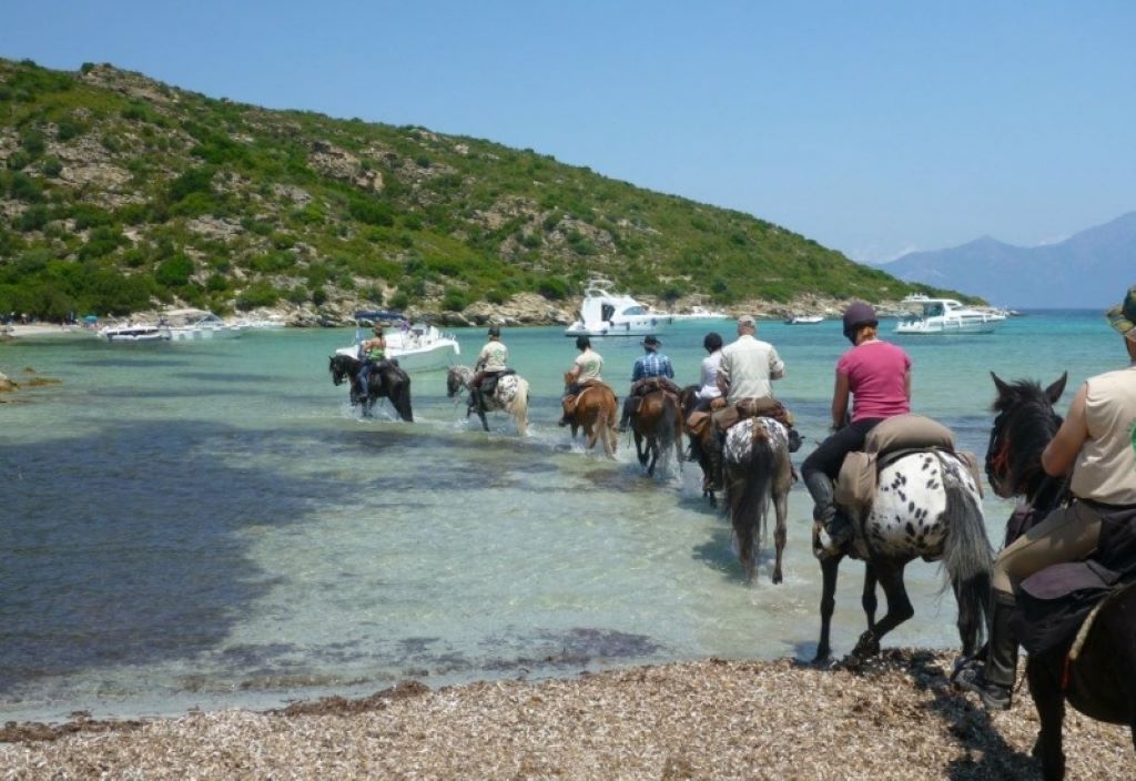 RANCH-U-NIOLU-A-CAVALLU-20