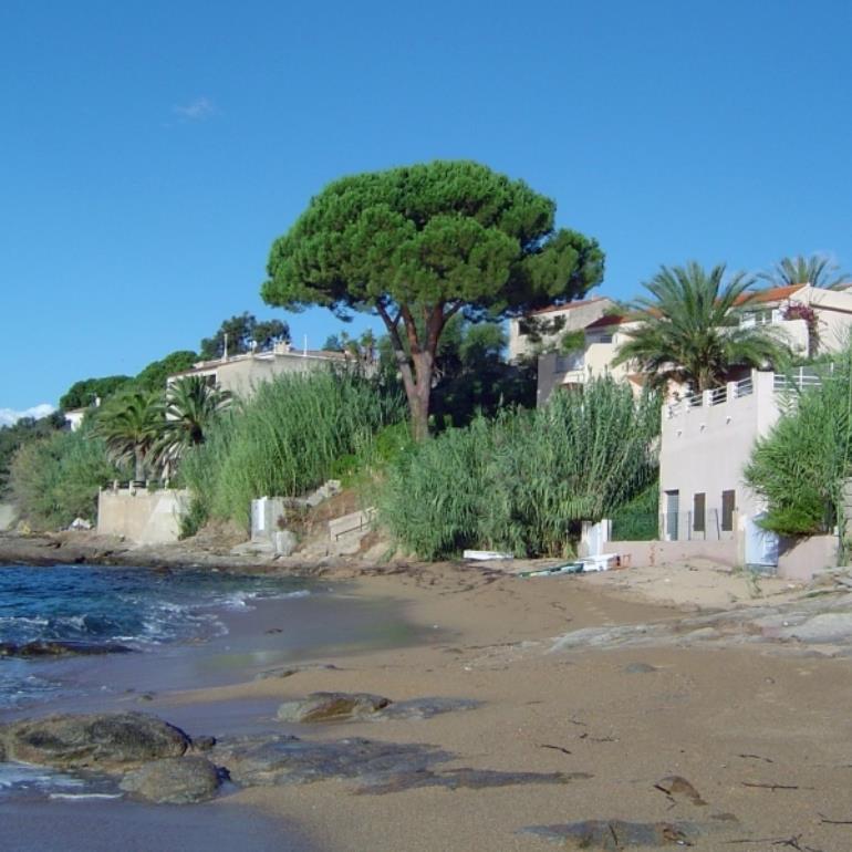 AGULA MARINA CHEZ ANDRE