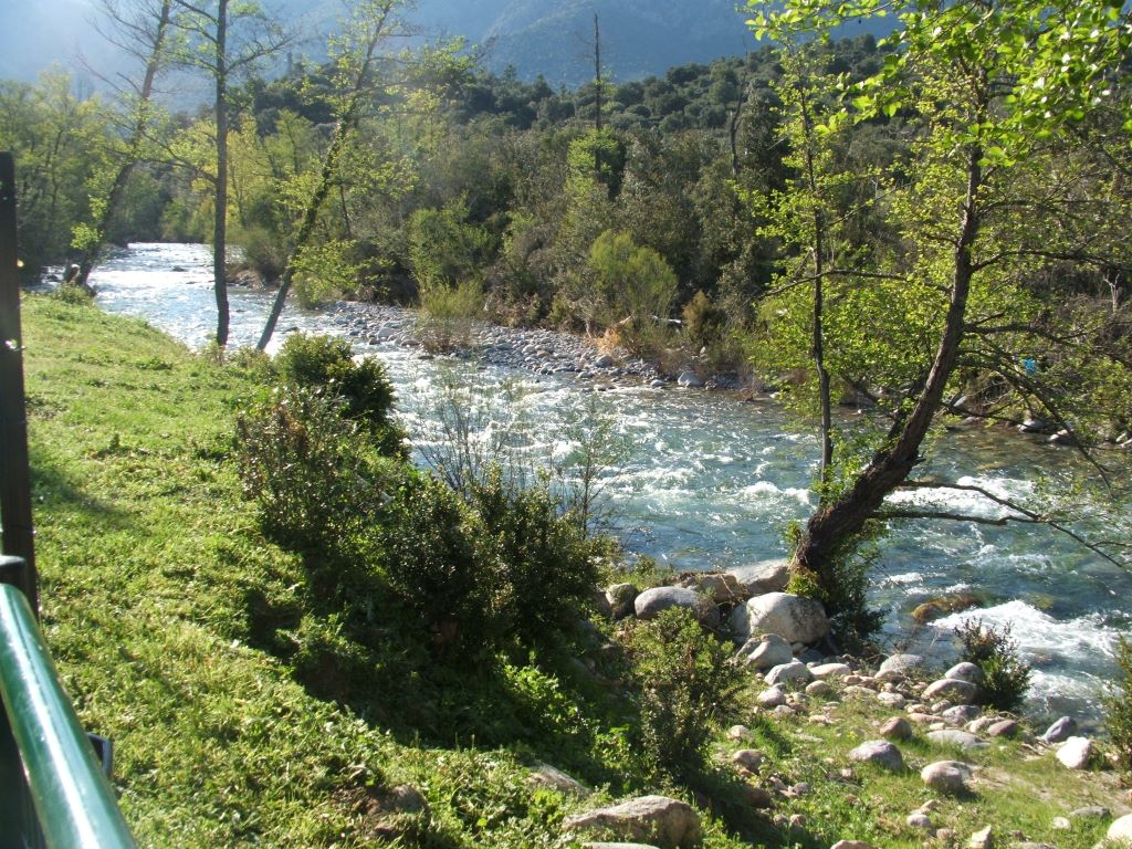  Riviere-4