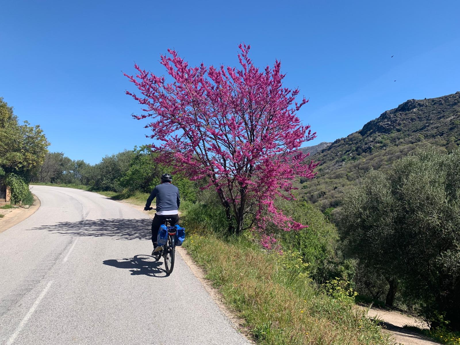  Route en balcon de Balagne ©O LEONETTI