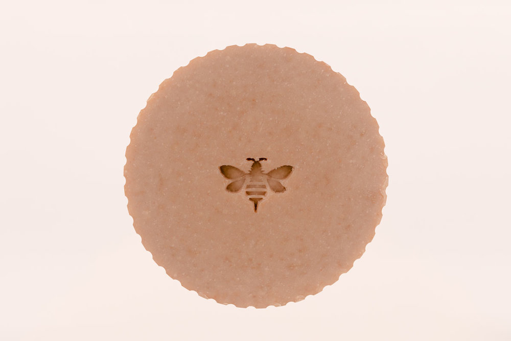  SAF_abeille