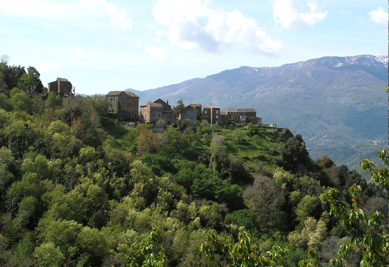  SAN DAMIANO _3