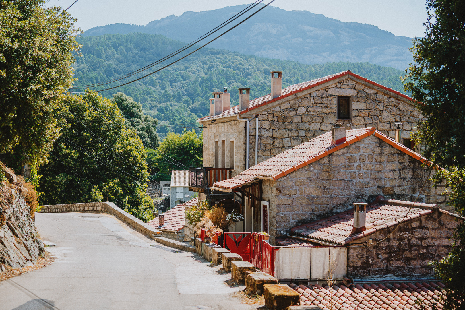  SAN-GAVINO-DI-CARBINI--7-