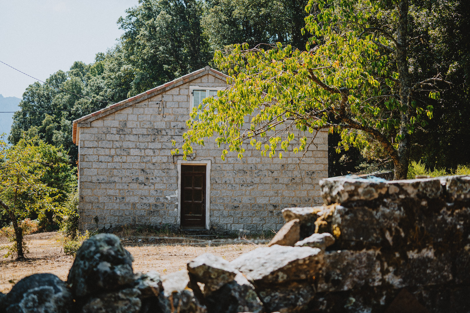  SAN-GAVINO-DI-CARBINI--8--2