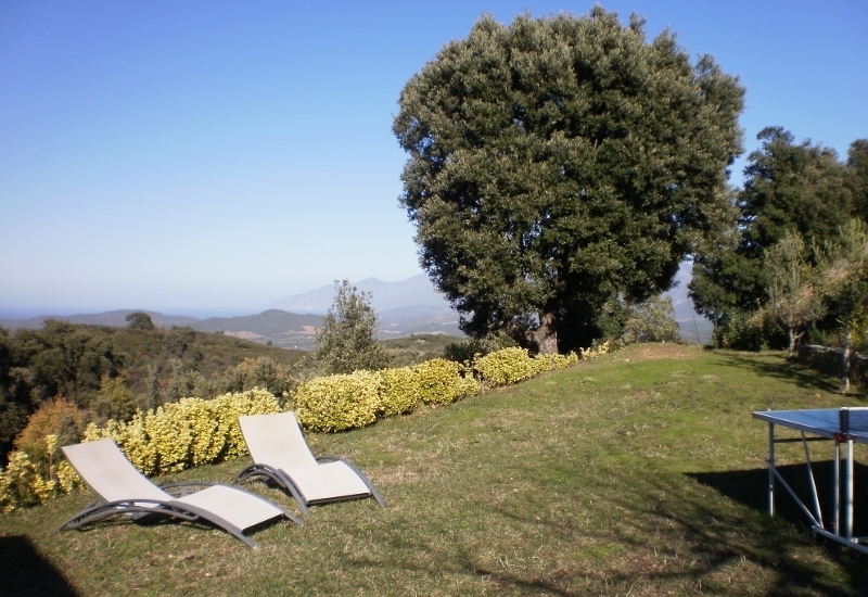  SAN MARTINU_1_1