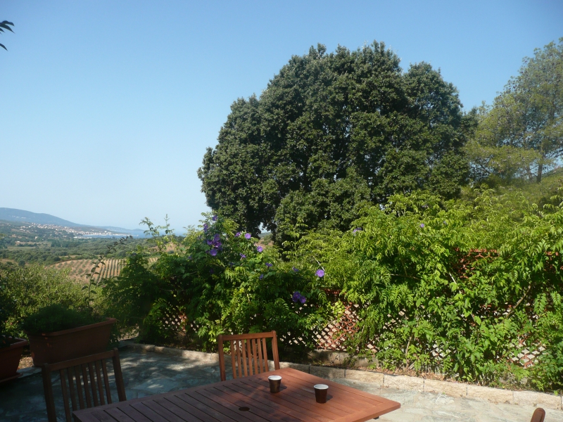  SEROIN PAUL - BERGERIE MURIER_8_8