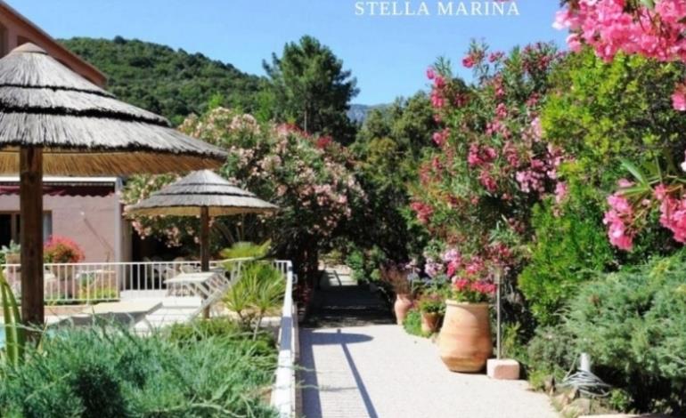 STELLA MARINA_3_3 Non renseigné
