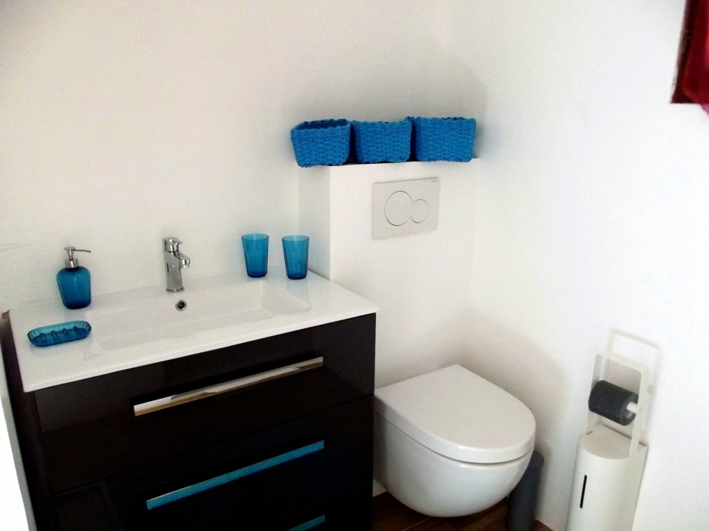  Salle d'eau RDJ
