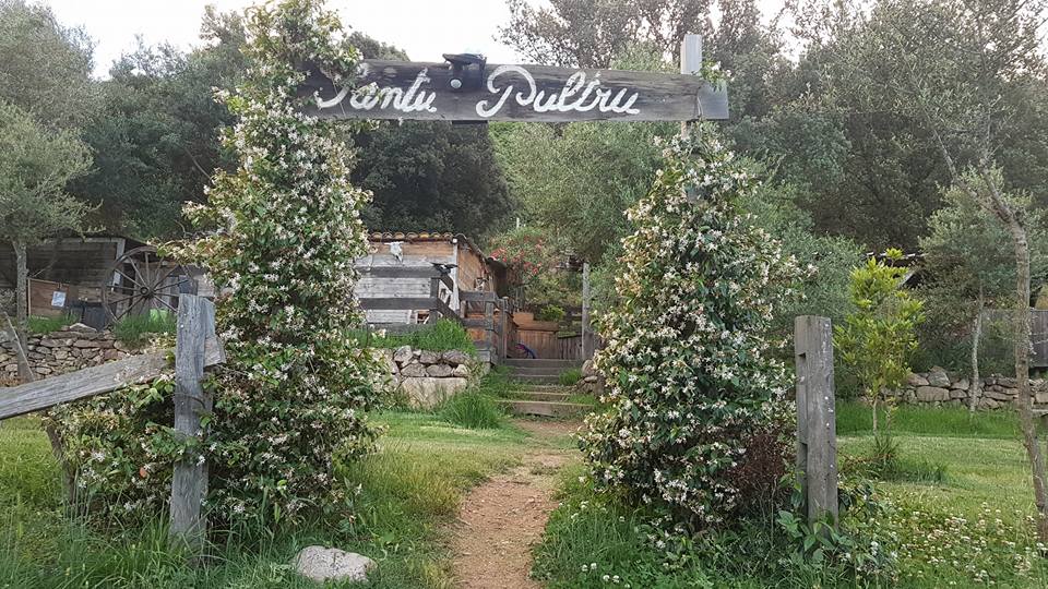  Santu Pultru_Vue