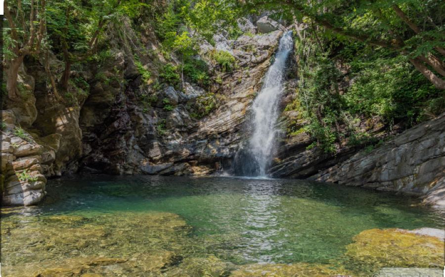  Screenshot-20240123-124249-2