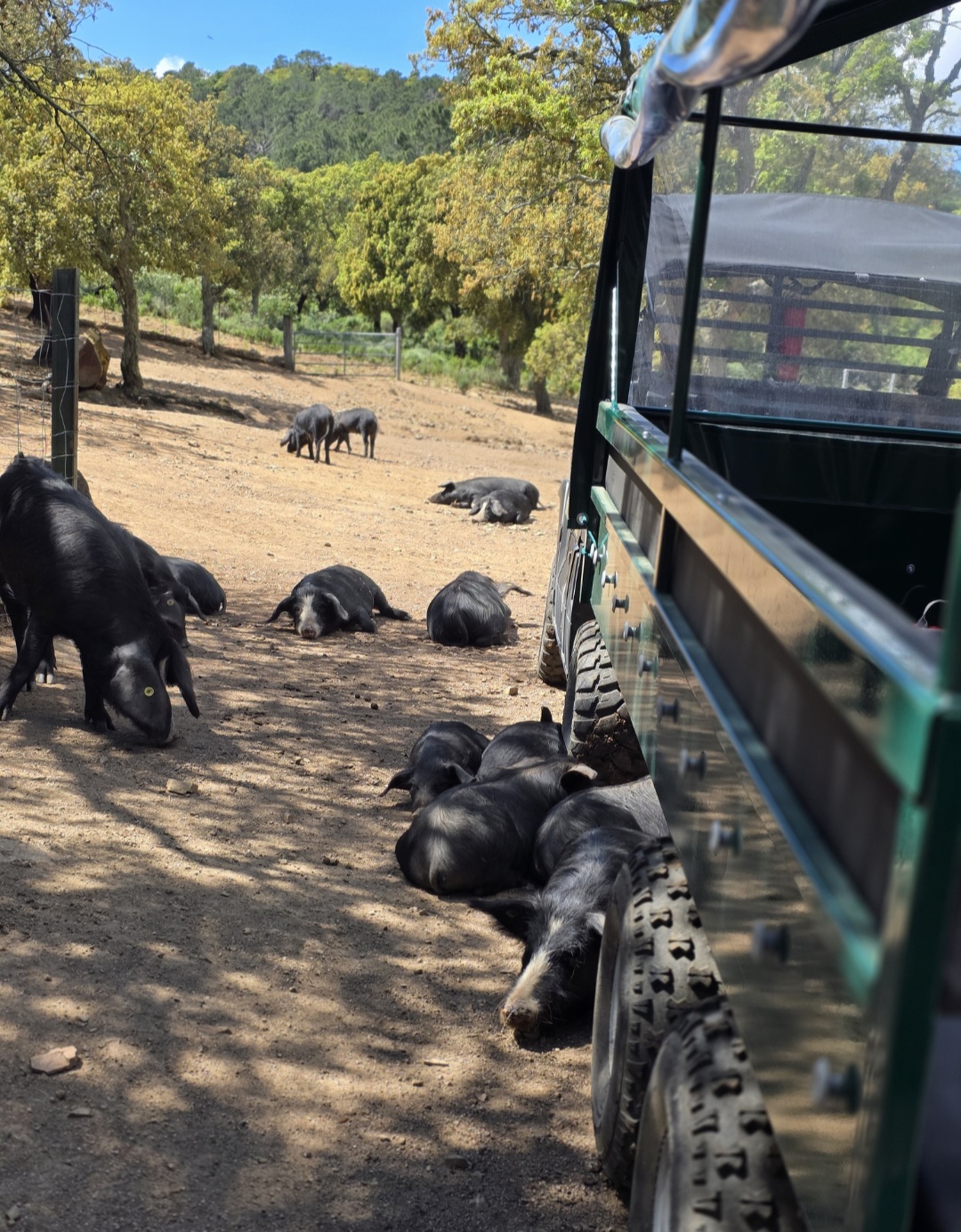  Screenshot_20250515_144349_Gallery