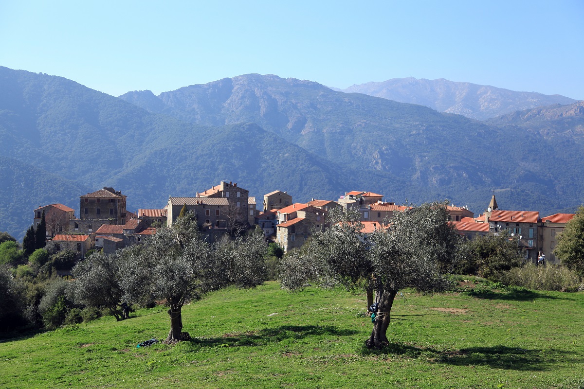  St Lucie De Tallano©Sylvain Alessandri-1