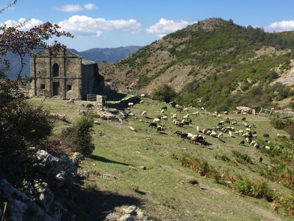  Stazzu-di-San-Bertuli