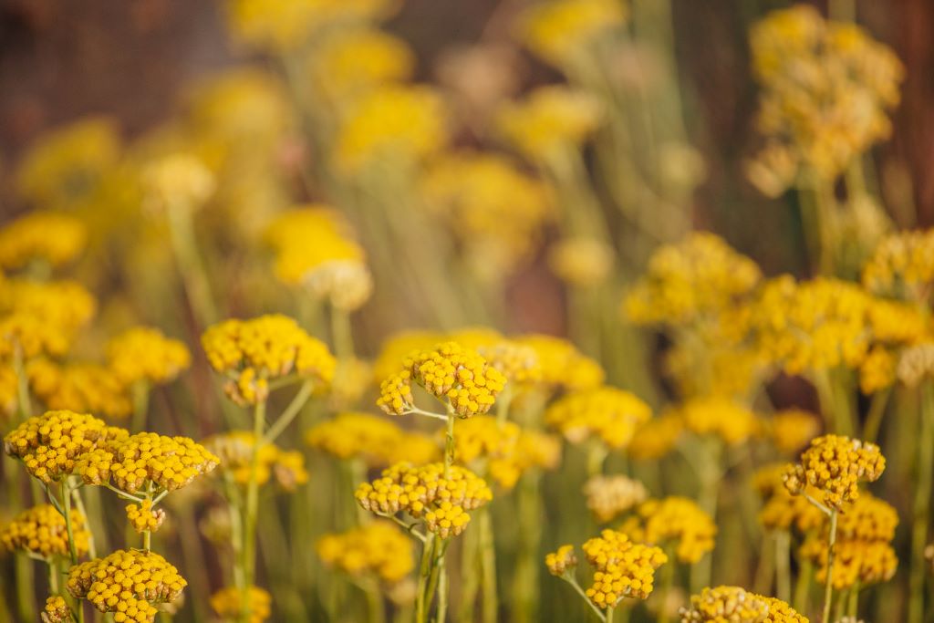  TESORUDIMACHJAJUILLET2021-28