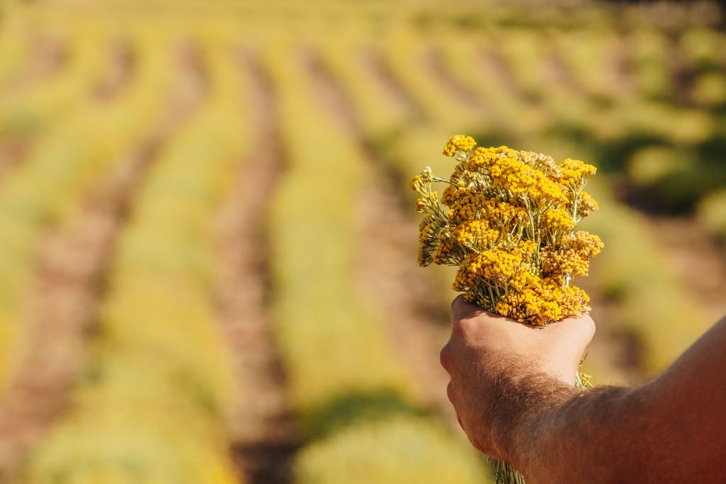  TESORUDIMACHJAJUILLET2021-95