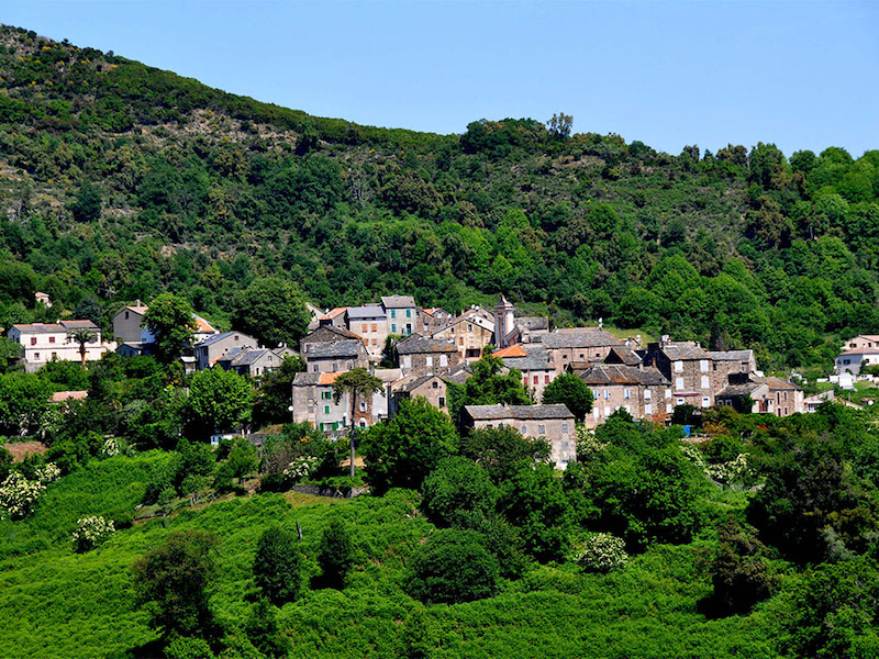  Talasani