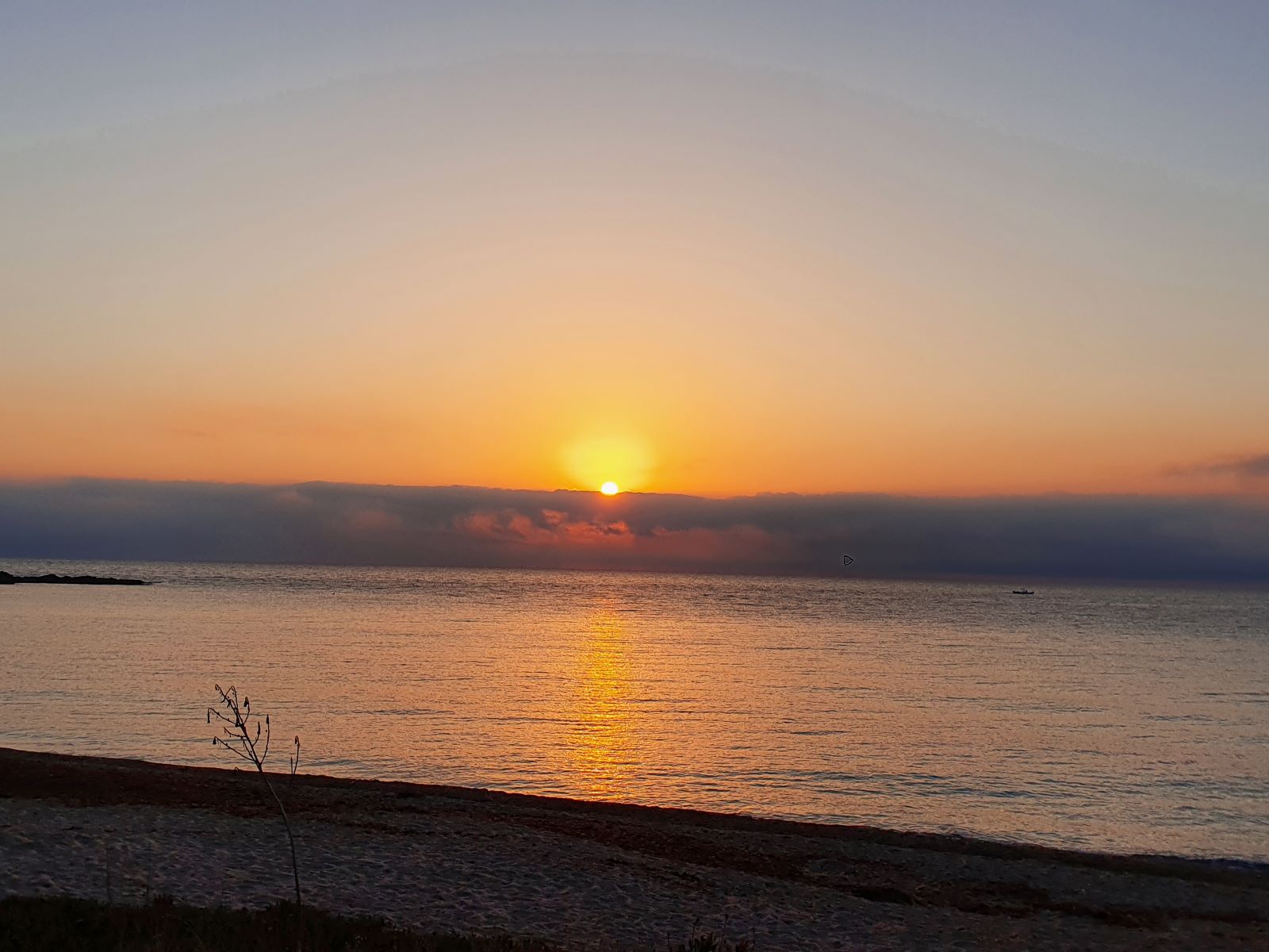  Taxi Virginie sunset 2