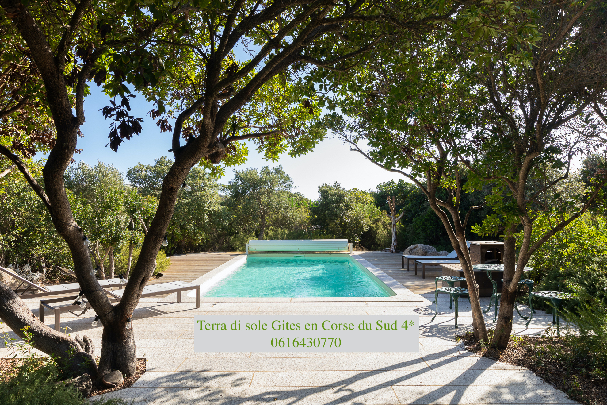  Terra di sole-medium-34 copie