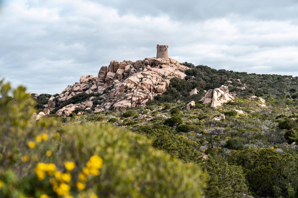  Tour-genoise-de-Senetosa