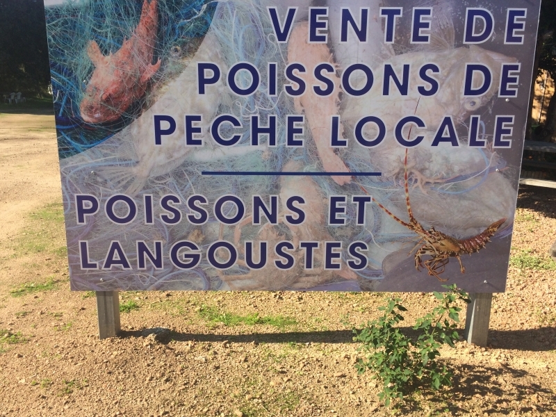  VENTE DIRECTE DU PÊCHEUR AU CONSOMMATEUR_1_1