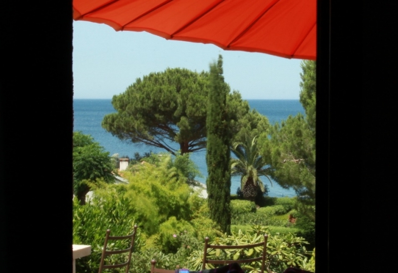  VILLA I MERLI - AGRIATE_8_8