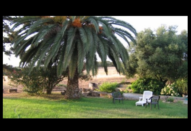  VILLAS MARIE DIANE PROPRIANO CORSE DU SUD_3