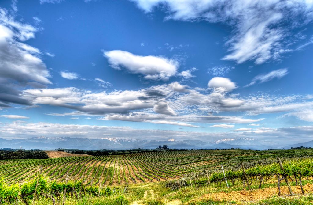  Domaine de la Punta