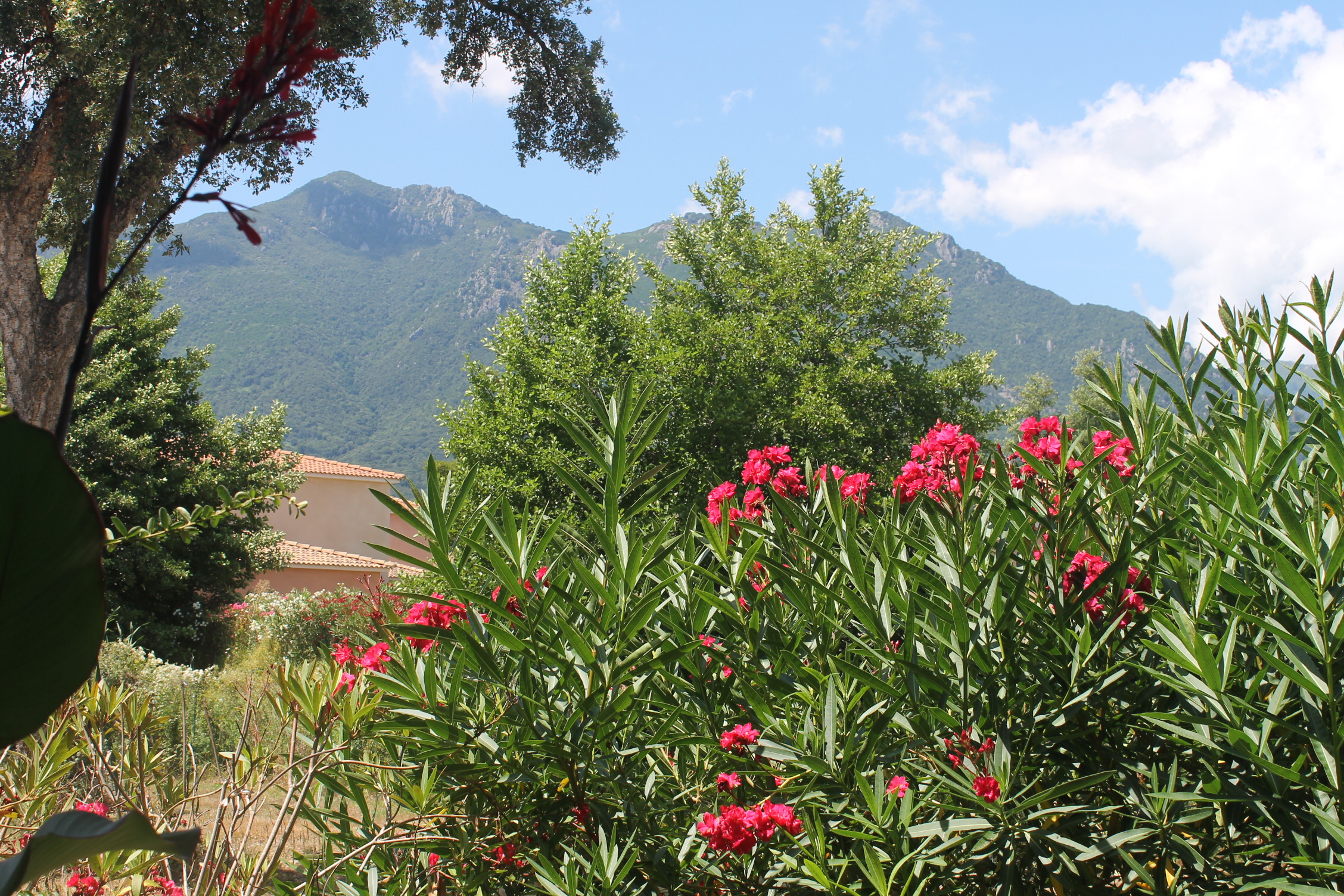  Vue à partir de la terrasse