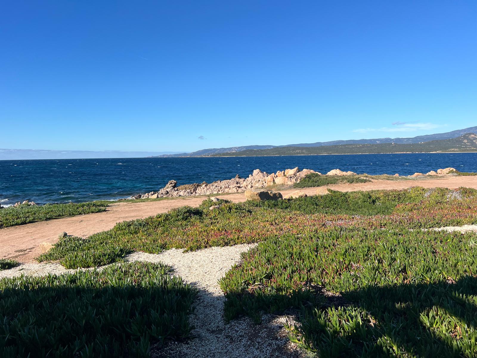  WhatsApp Image 2024-12-24 at 17.28.34 (8)