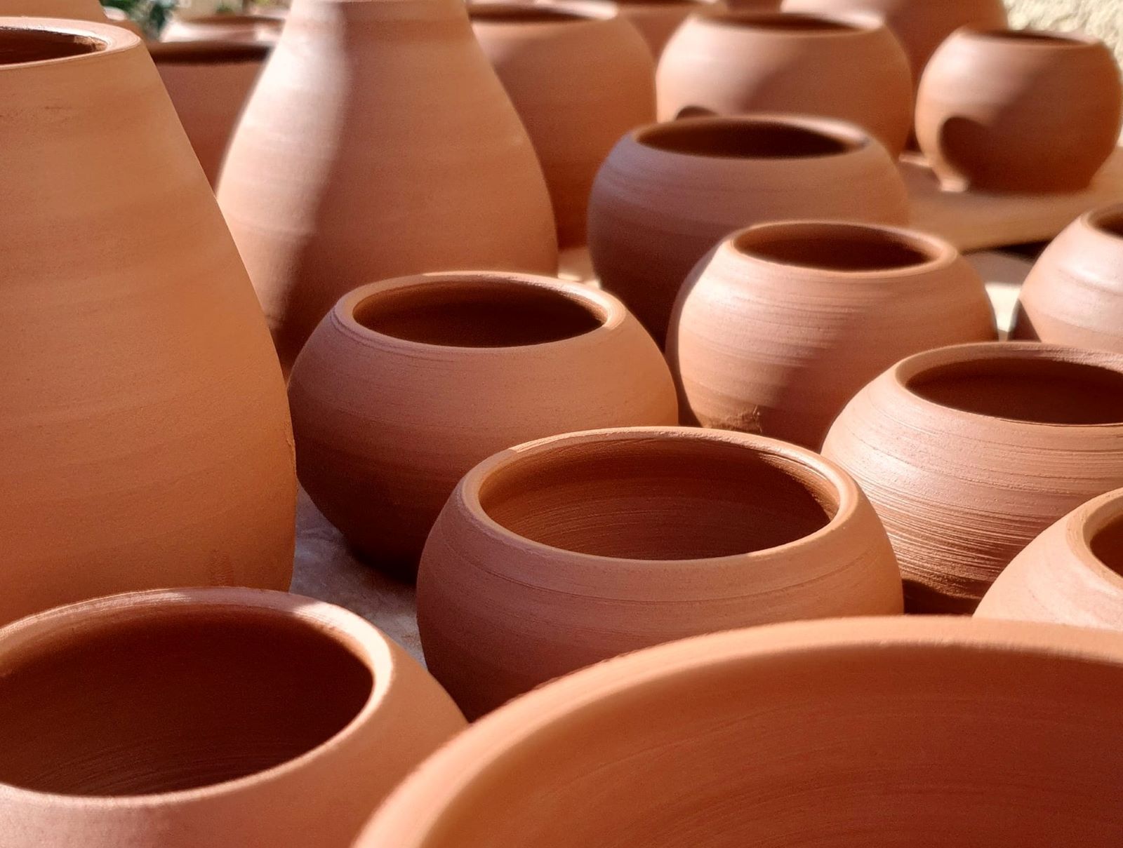  allure-en-pot-2-2