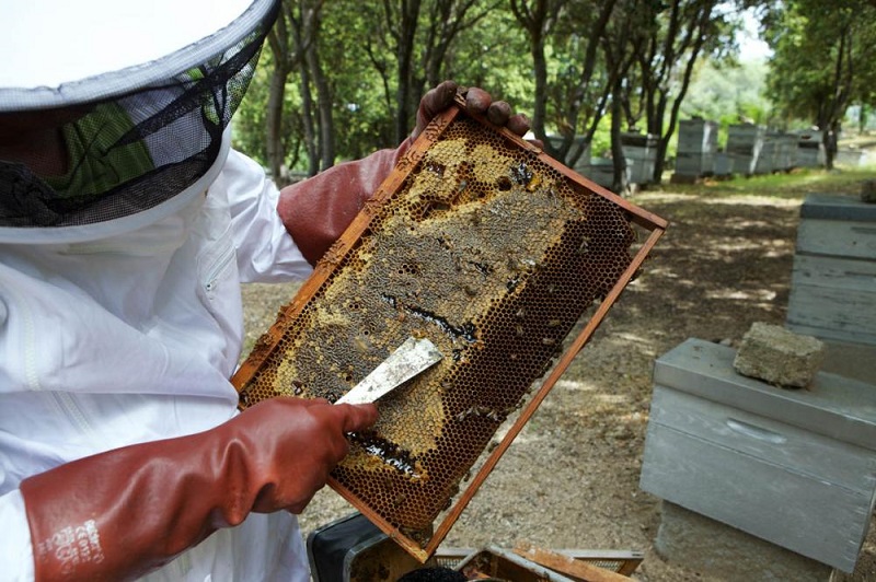  antoinenegretti%205bis