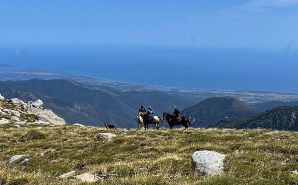  attachment1770720581966