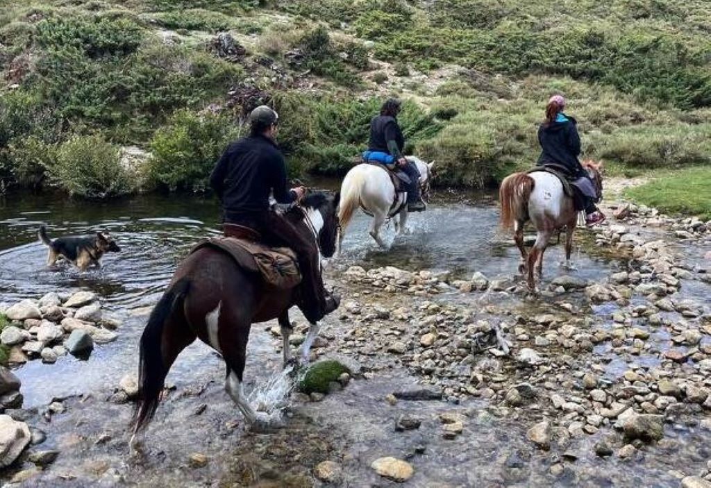  attachment1770720855169