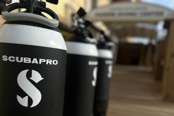  photos encart site internet  - 1