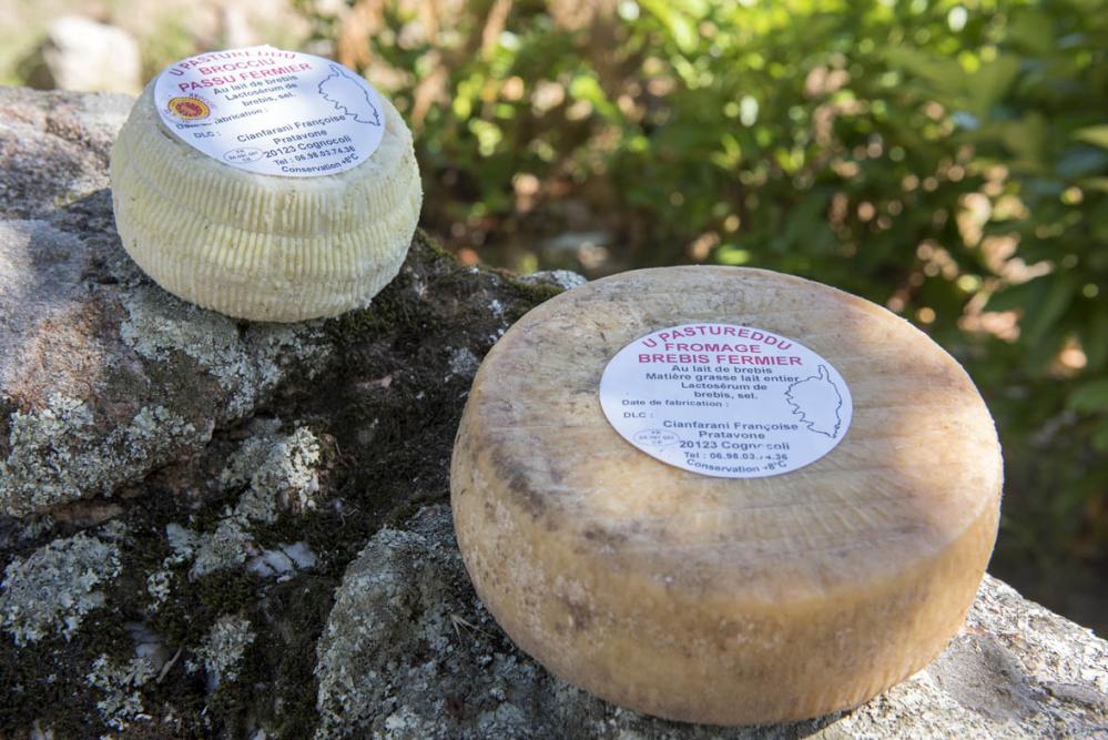  cianfarani jcattard 1bis