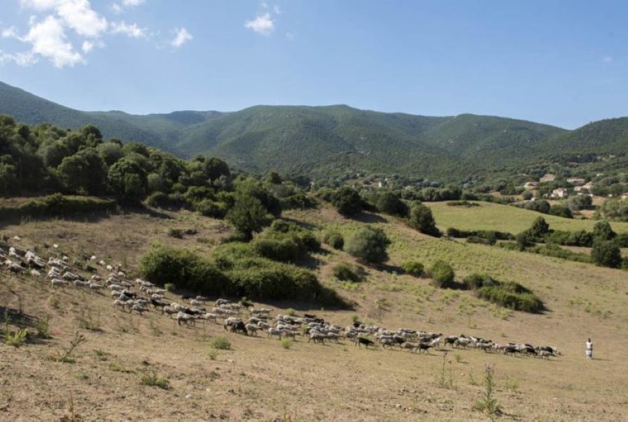  cianfarani-jcattard-3-768x515