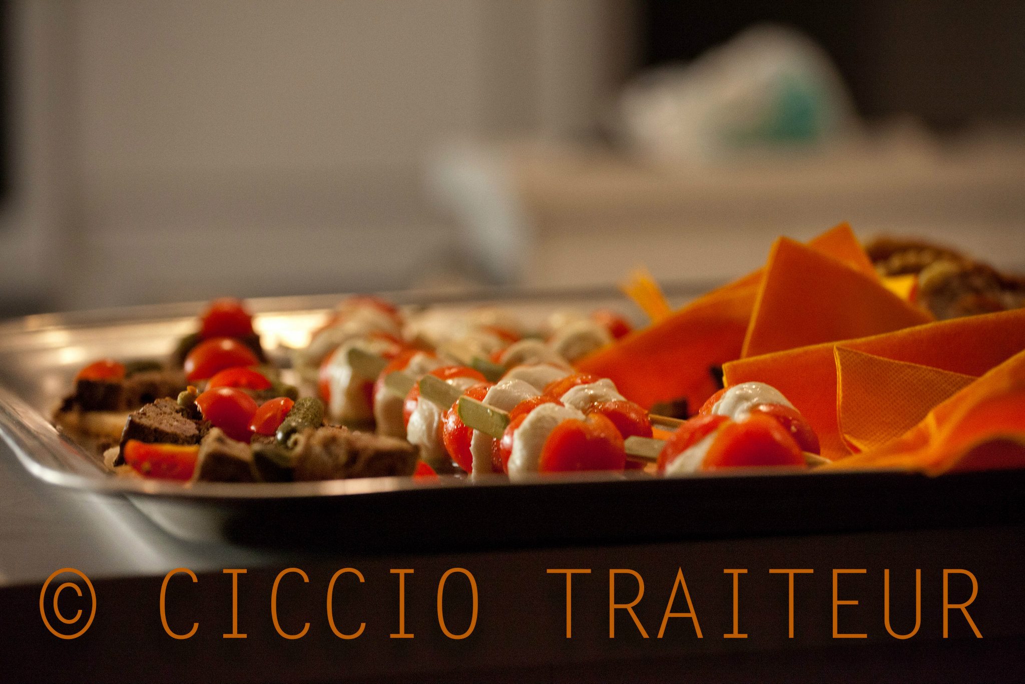  ciccio