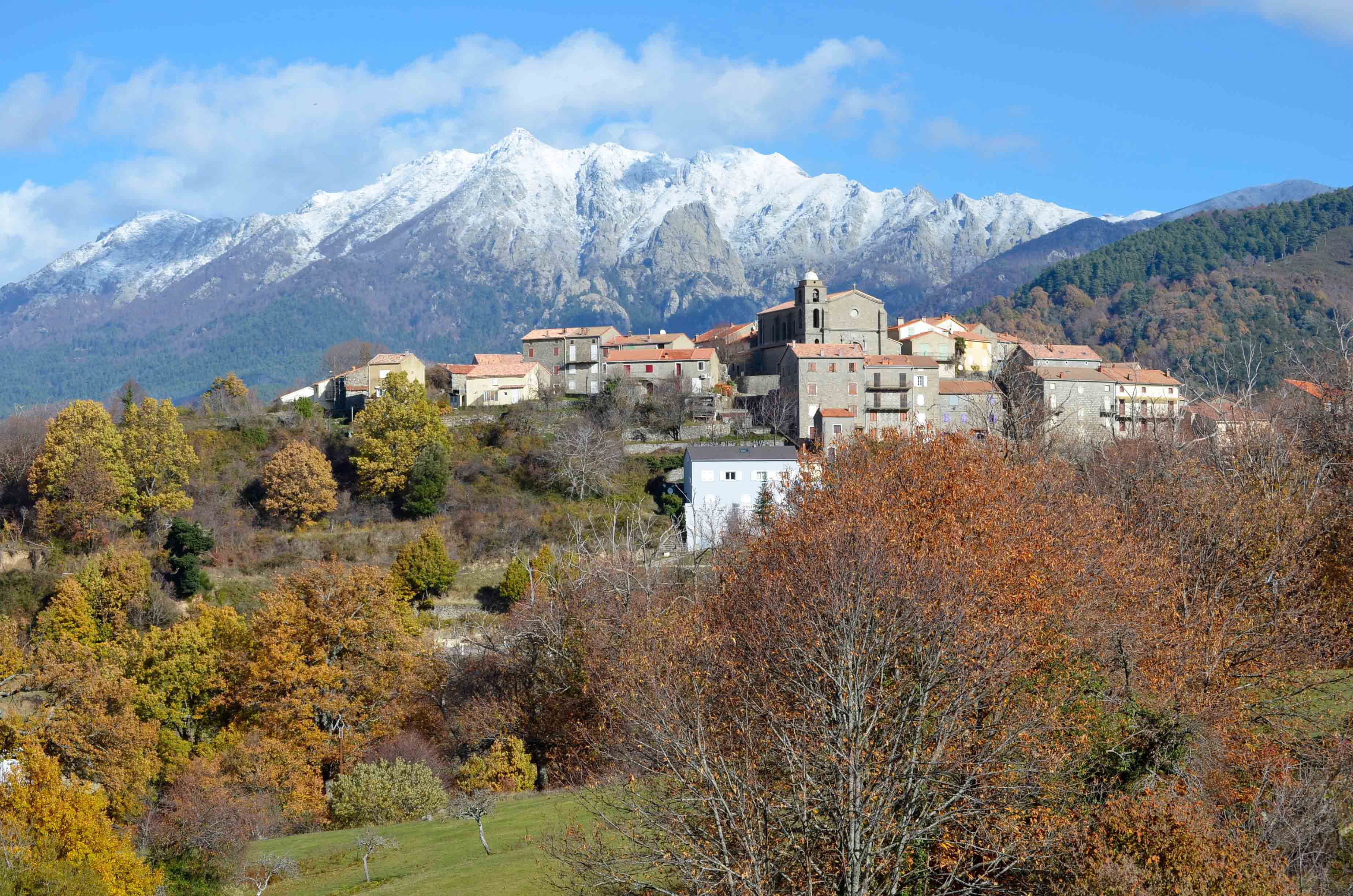  cozzano automne