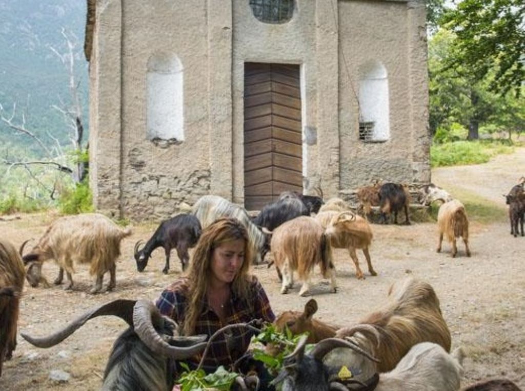  CARINE CROCE
