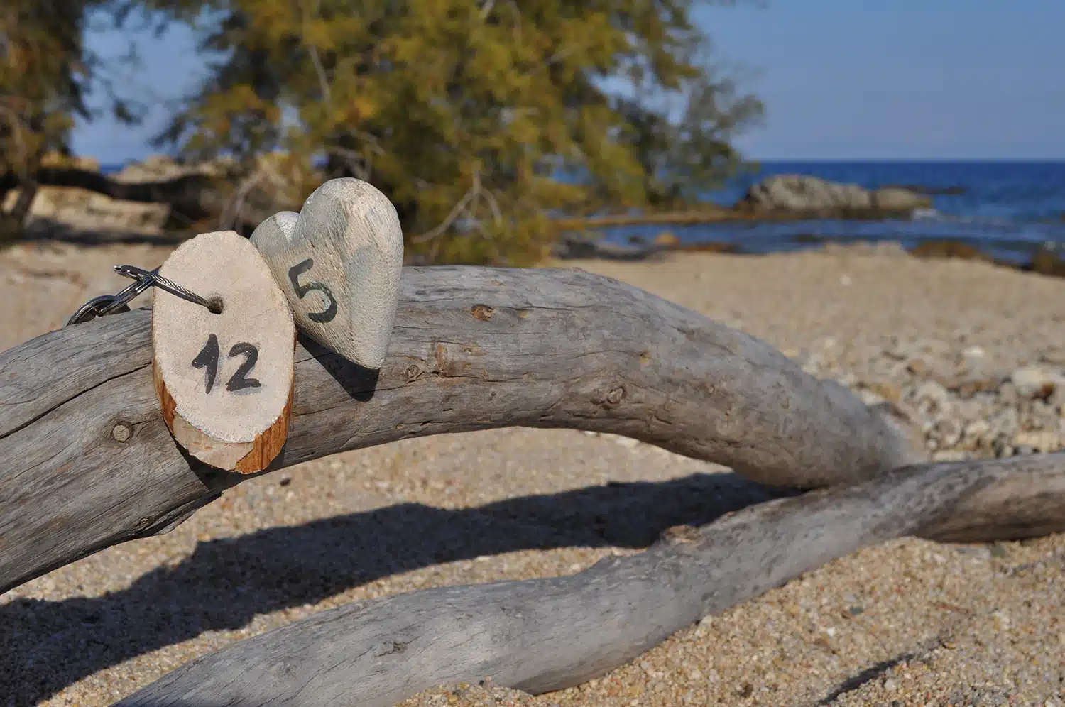  domainde-de-pianiccia-plage-0754