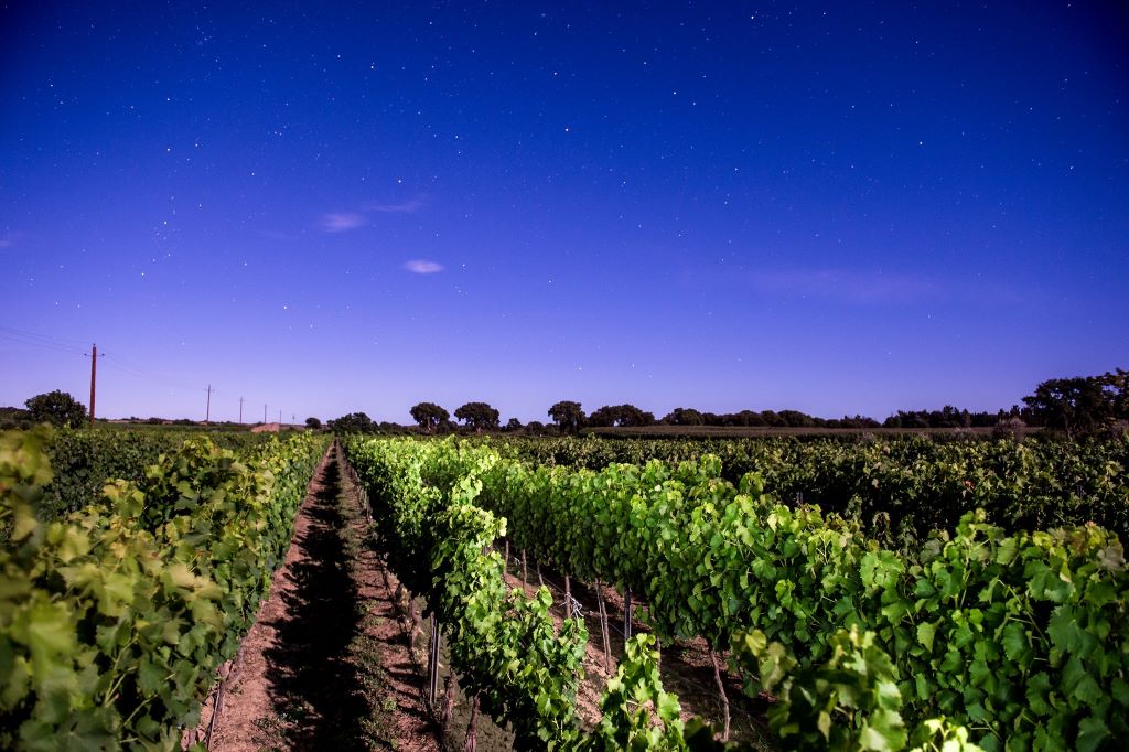  domaine-e-petre-3