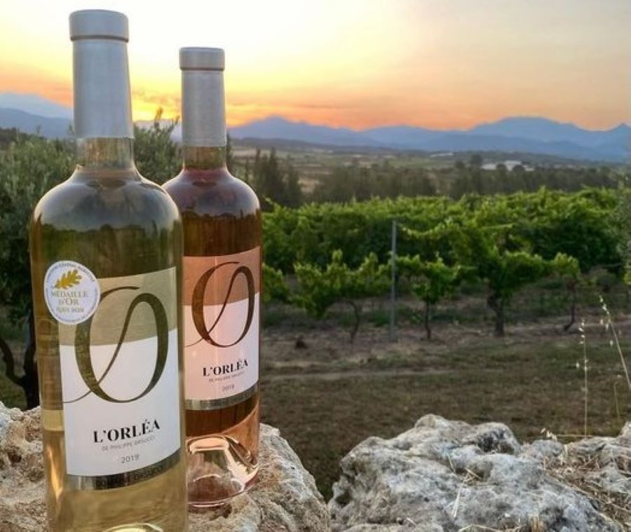  Domaine Orsucci 1