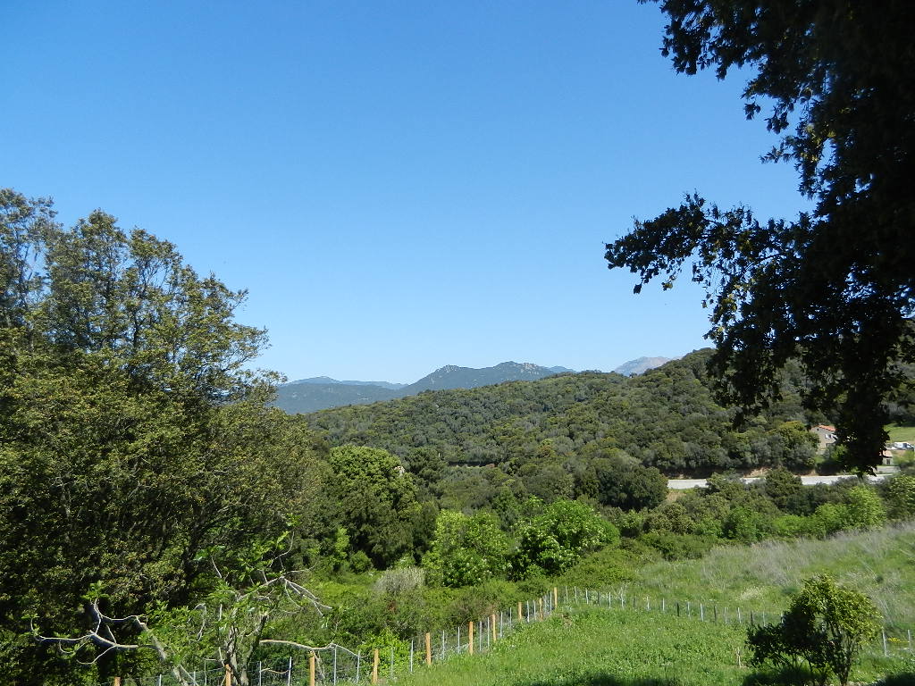 vue nord