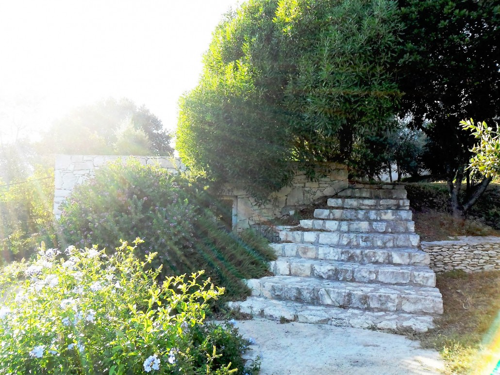  casamartini-location-gite-escalier_jardin-bonifacio