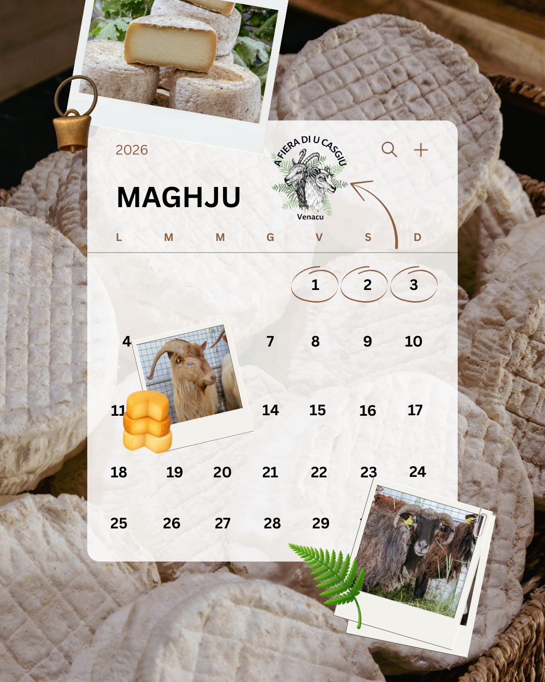  fiera di u casgiu 2026