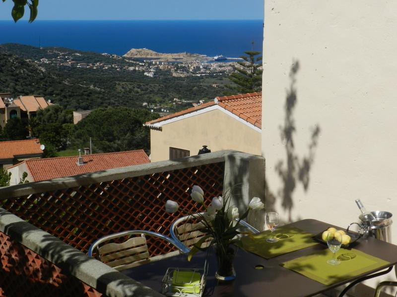  figuier balagne