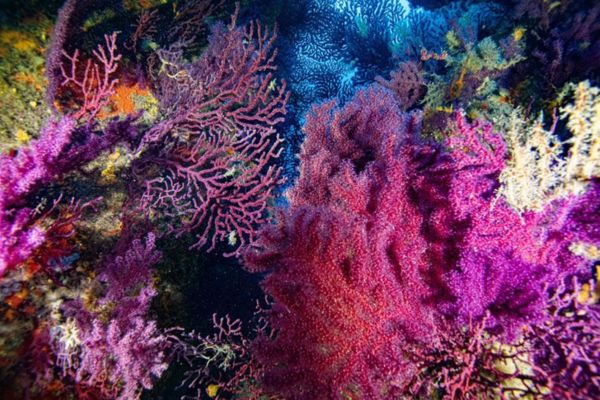  photos encart site internet  - 1